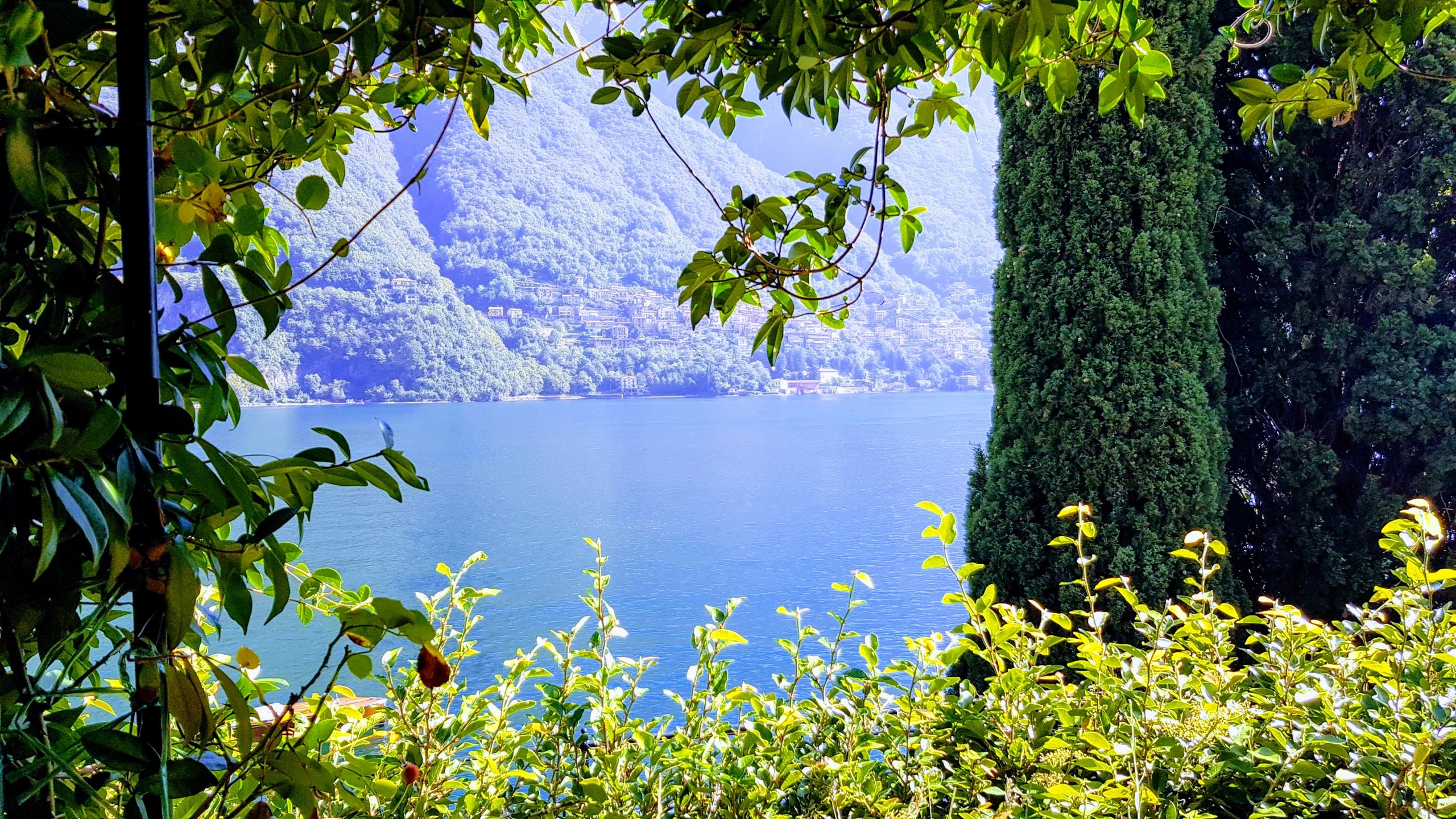 Jax Digital Marketing: Menggali Potensi Digital untuk Bisnis Anda